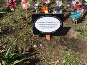 HAYLE OCS - Covid Memorials