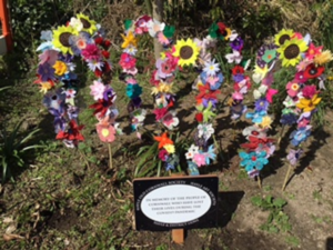HAYLE OCS - Covid Memorials