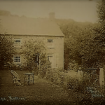 Image No 11